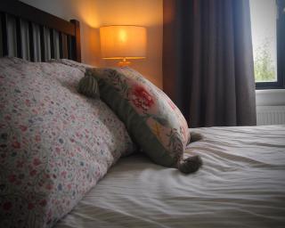 Quiet Riverside Stopover - perfect for spring - 7