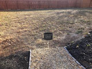 Currahee Mountain Retreat - 7