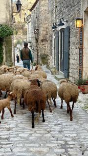 maison aux Baux de Provence - 2