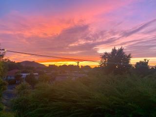 'Fox Cottage', just a stroll to Waikouaiti beach! - 4