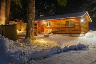 Knotty Shack- Unique Tiny Log Cabin with Hot Tub - 0