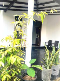 Chillout Mirissa - 6
