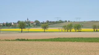 Souterrainwohnung in Niederau - 6