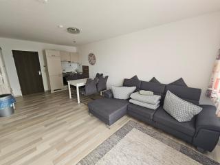 King Apartment Luftkurort Bayerischen Wald - 3