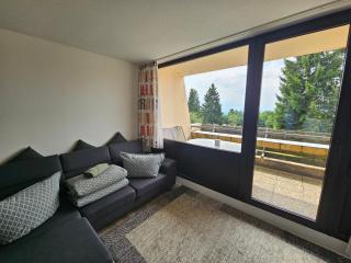 King Apartment Luftkurort Bayerischen Wald - 9