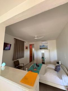 Arbre du voyageur -Le coin du voyageur - 7