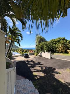 Arbre du voyageur -Le coin du voyageur - 5