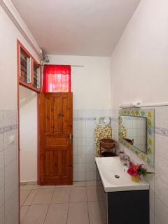 Arbre du voyageur -Le coin du voyageur - 1