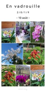 Villa Les Violettes - 8