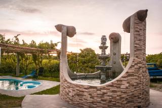 Viñedo Sotelo - Hospedaje y Glamping - 9