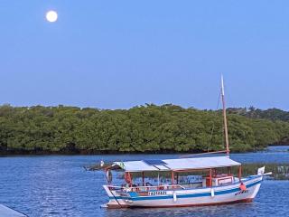Itaparica Beach House - 8