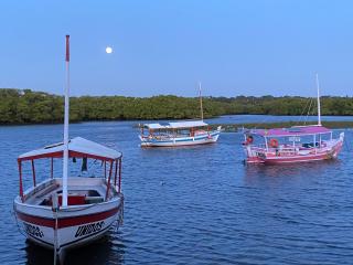 Itaparica Beach House - 9