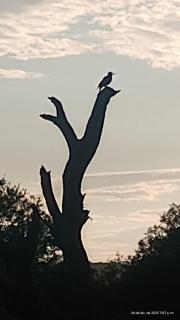 Cabaña Agata San Marcos Sierras - 4