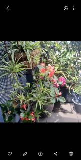 Penthouse, seaview, free pk, 2 bdbath, 5 min walk - 4