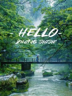 Zhangjiajie Zhenxi Hotel - 9