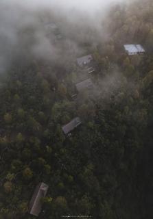 Wanagiri Cabin Wanara - 7