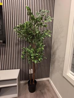 NorthEdge Suites Leduc - 1