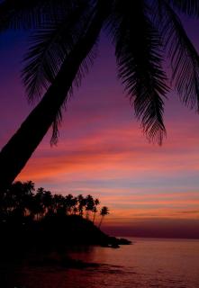 Colomb Beach Cottages - 9