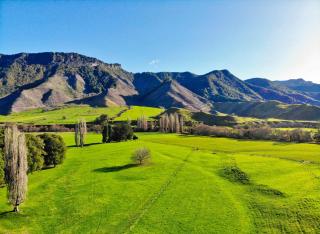 The Cottage at StrathOwen - 9