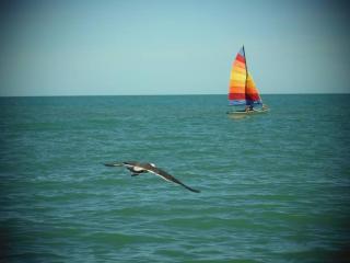 San felipe Studio 6 FREE WIFI AND CABLE TV - 3