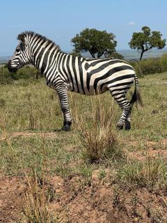 Nanja Mara Lodge - 6