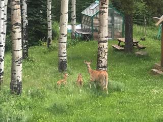 Highlands Homestead Luxury Retreat - 7