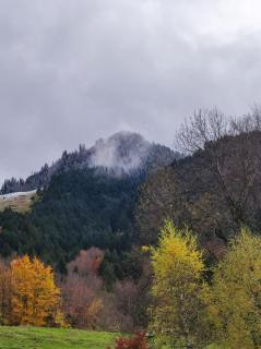 Séjour solidaire- Studio cosy aux pieds des pistes - 6