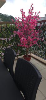 Baguio and Japan Fusion in Baguio City - 5