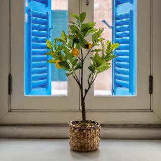 Discover A Hidden Gem In Valletta - 3