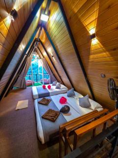 White Moon Cabin & Cottage - 1