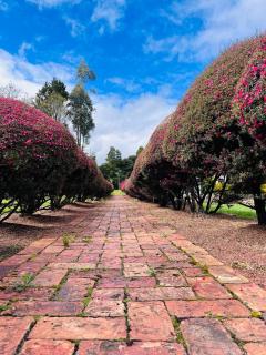 La Posada del Político - 2
