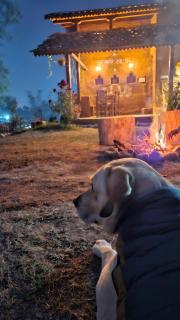 Shree Namami Home stay - 6