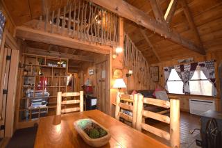 Ma & Pa's cabin at Cabin Fever in NC - Saluda - 5