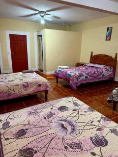 Hotel Cuaupatanini - 8