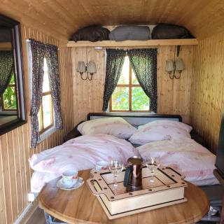Schäferwagen mit Dachterrasse an der Pferdekoppel - 4