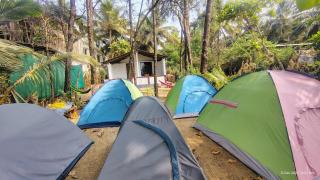 Beach Nest Gokarna - 8
