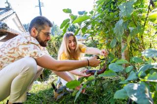 一軒宿さめうら 最大8名宿泊 ペット可 一棟貸切 - 8
