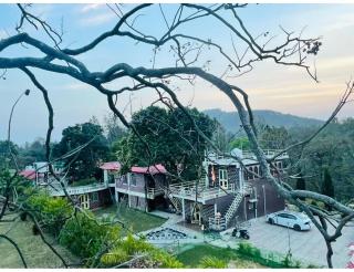 Jungle tale, Dehradun - 0