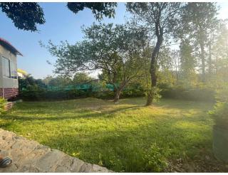 Jungle tale, Dehradun - 3