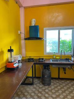 Fluffy Cat Paradise - 1