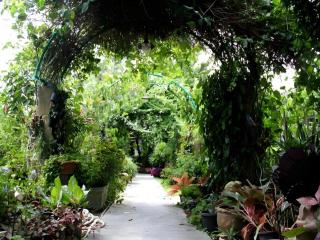 Rommai Rimnaam Resort - 2