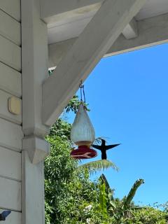 Nouveau ! Villa au Diamant - 6