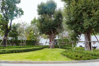 Anchan Flora Luxury 2BR Pool Villa - 4