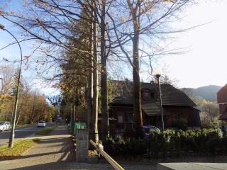 Trzy Izby, apartament przy skoczni i centrum - 1