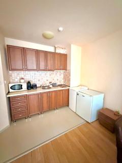 Cozy One Bedroom Apartment in Bansko Near Gondola with Wi Fi - Bansko - 4