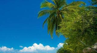 La Isla Bonita - Guraidhoo - 3