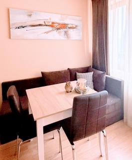 Cozy One Bedroom Apartment in Bansko Near Gondola with Wi Fi - Bansko - 9