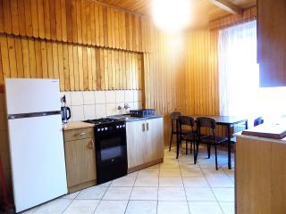 Trzy Izby, apartament przy skoczni i centrum - 6