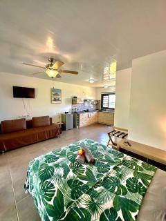 Studio Tropical - climatisé - vue mer et montagnes - canoes et paddle offerts ! Teahupo'o Lodge Tahiti - 9