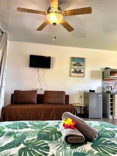 Studio Tropical - climatisé - vue mer et montagnes - canoes et paddle offerts ! Teahupo'o Lodge Tahiti - Teahupoo - 7